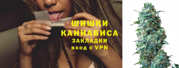 ГАЛЛЮЦИНОГЕННЫЕ ГРИБЫ Елабуга