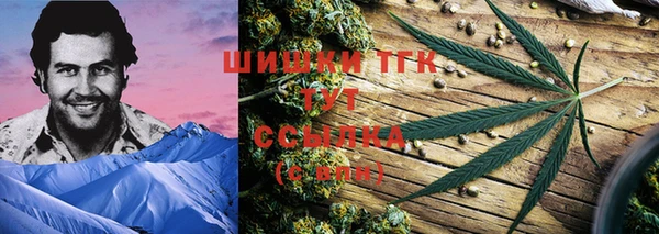 ГАЛЛЮЦИНОГЕННЫЕ ГРИБЫ Елабуга