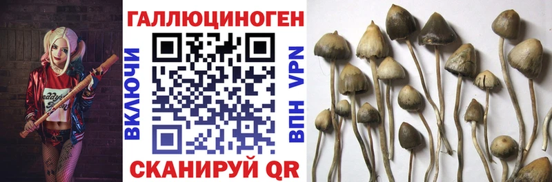 Псилоцибиновые грибы мухоморы  Княгинино 